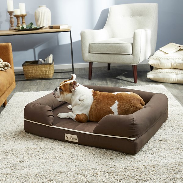 Best Dog Bed for Great Danes 2022