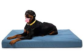 Best Dog Bed for Rottweiler