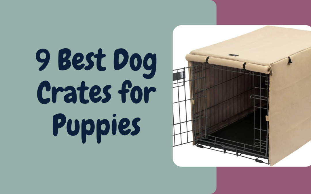 9 Best dog crates for Puppies - blog image cover